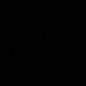 Meet your Posher, Rooby